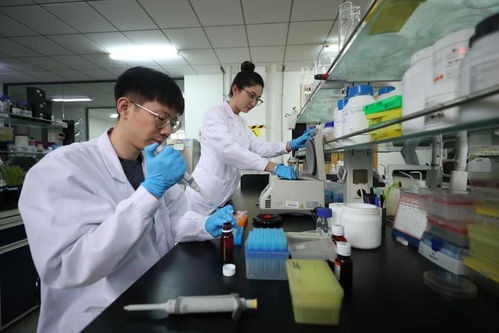 探訪北方粳稻育種栽培技術國家地方聯(lián)合工程實驗室 遼寧